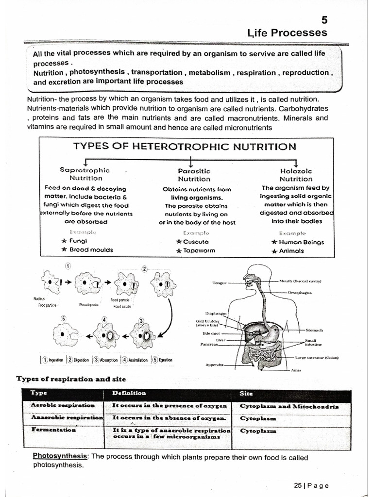 Chapter 4 To 13 | PDF