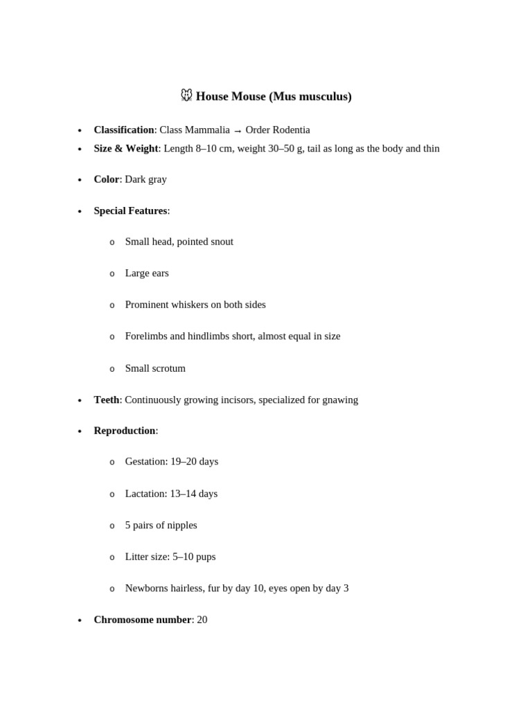 Comparative Guide to Common Rodents | PDF | Zoology