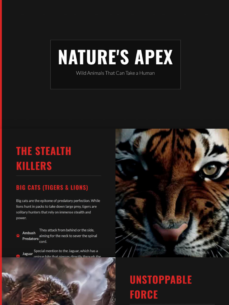 Nature's Apex - Predators | PDF