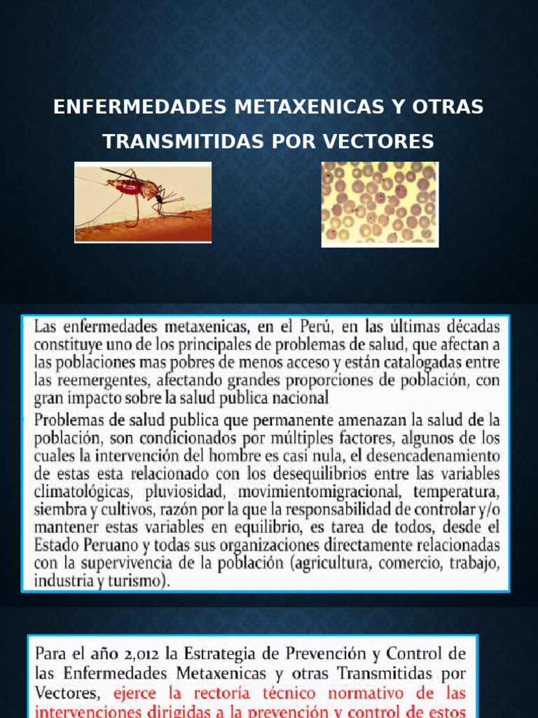 Enfermedades Metaxenicas y Otras Transmitidas Por Vectores | PDF