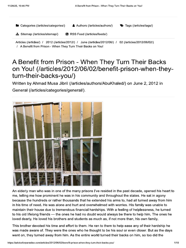Article Prison Letter | PDF