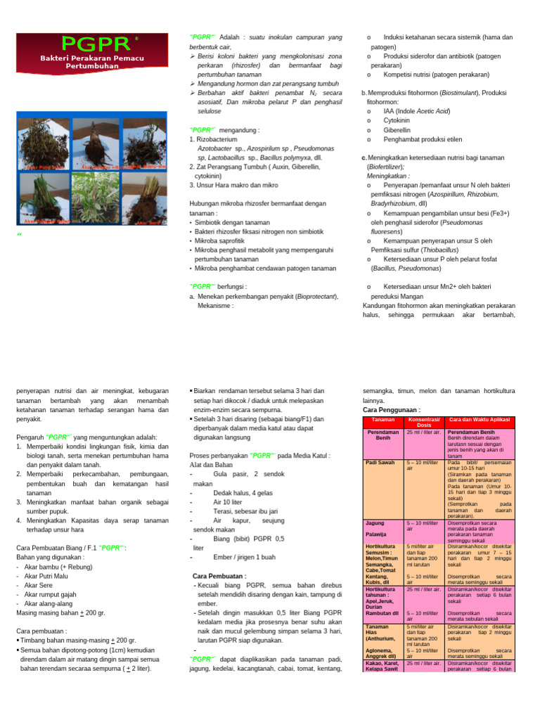 Manfaat dan Pembuatan PGPR untuk Tanaman | PDF
