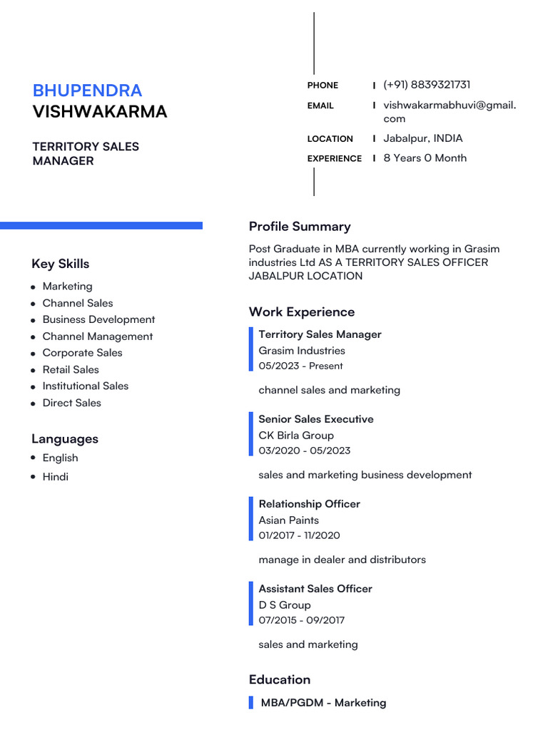 Territory Sales Manager Profile - Jabalpur | PDF