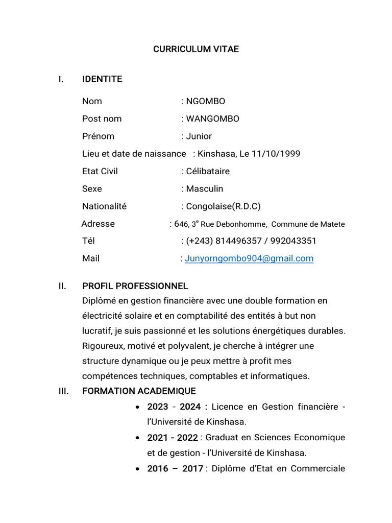 CV de Junior Ngombo: Gestion Financière et Énergie | PDF | Kinshasa