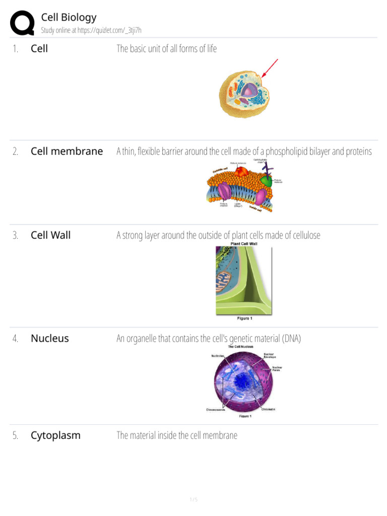 711cb4e2-1cc0-48f9-9b2c-bb8b445d104e | PDF | Cell (Biology) | Organelle