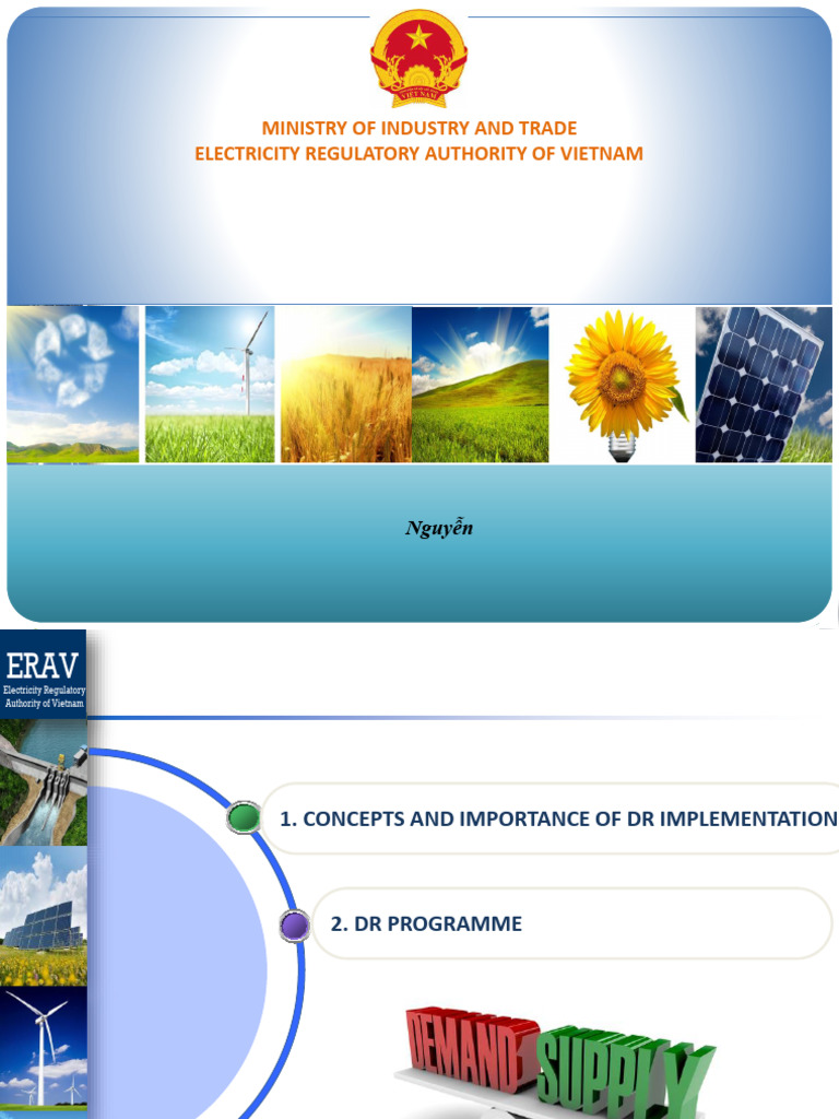 Vietnam Demand Response Program Roadmap | PDF | Electrical Grid | Smart ...