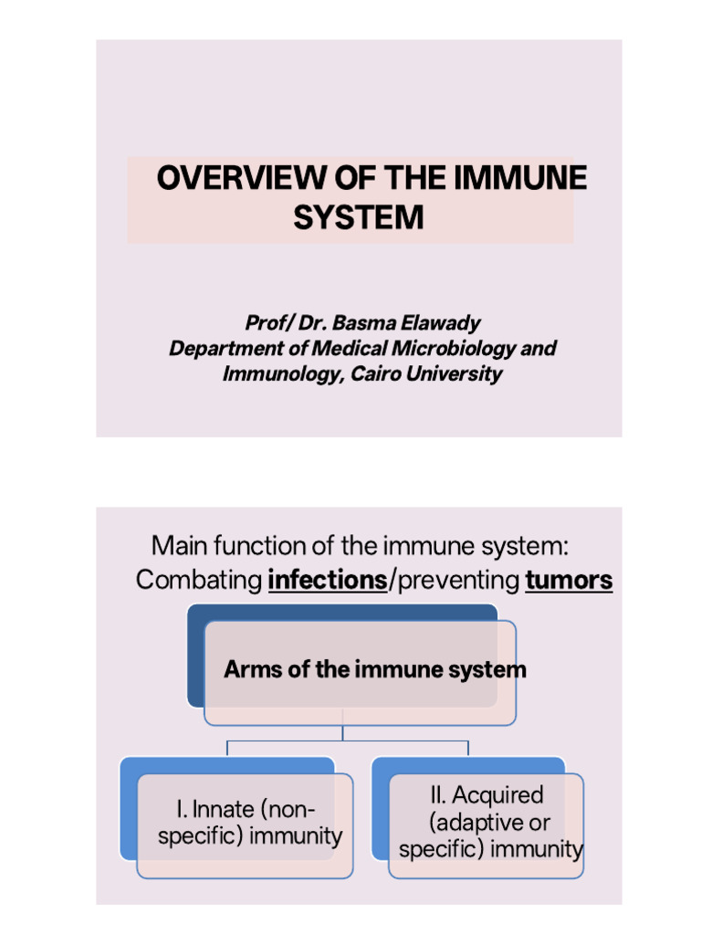 Immune System Overview: Innate vs. Acquired | PDF | Innate Immune ...