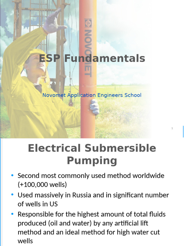 Electric Submersible Pump System Guide | PDF | Pump | Liquids