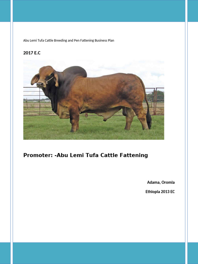 Cattle Breeding and Fattening Plan | PDF | Cattle | Depreciation