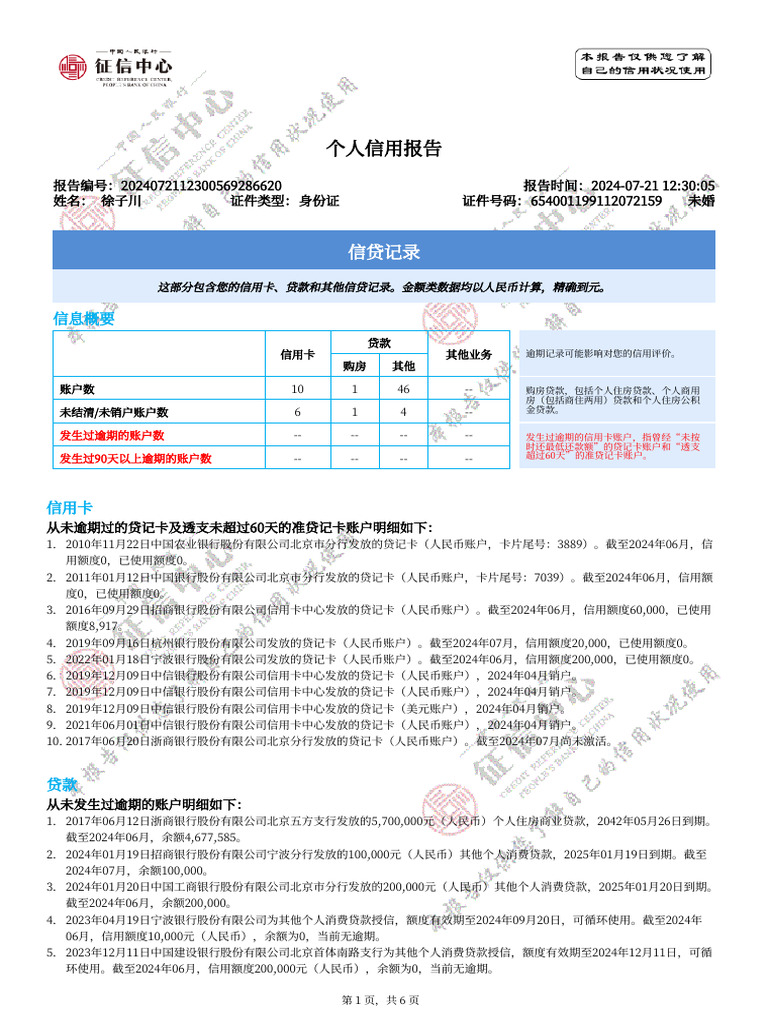 个人信用报告2024072112300569286620 | PDF