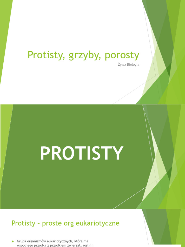 11) Protisty, Grzyby, Porosty | PDF
