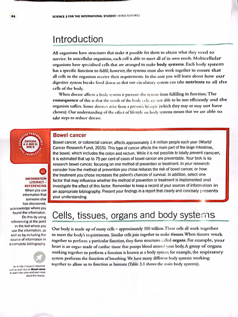 Healthy Body Systems Chapter Year 7 | PDF