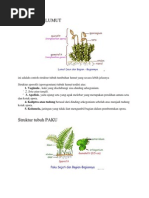 Download Struktur tubuh LUMUT by Siti Khorimatun SN96007337 doc pdf
