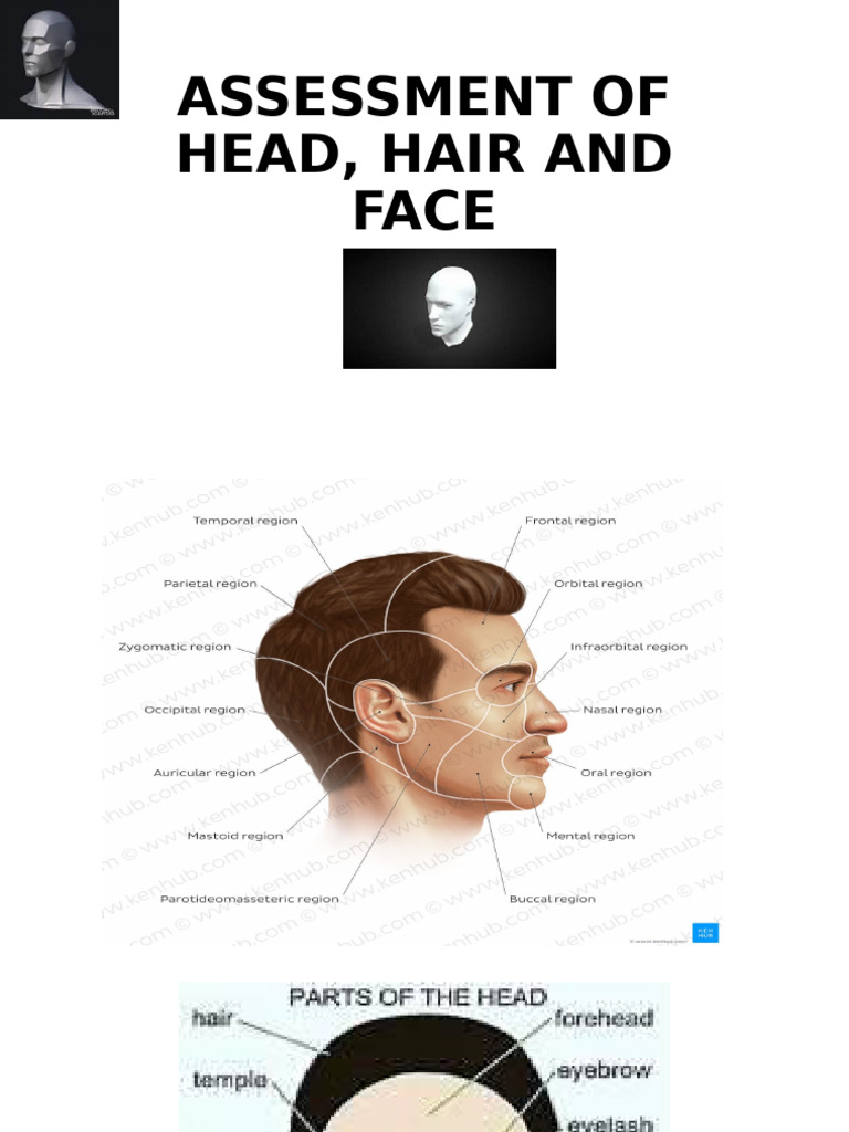 Comprehensive Head, Hair, and Face Assessment | PDF | Human Nose | Neck