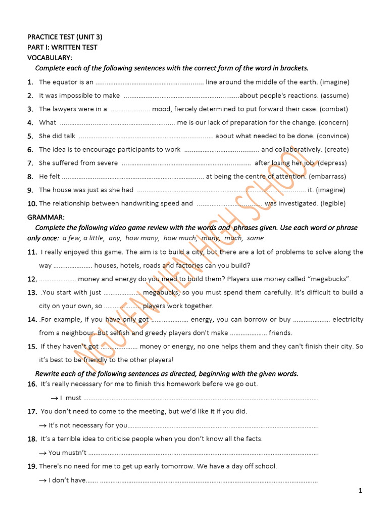 Unit 3 Practice Test: Vocabulary & Grammar | PDF