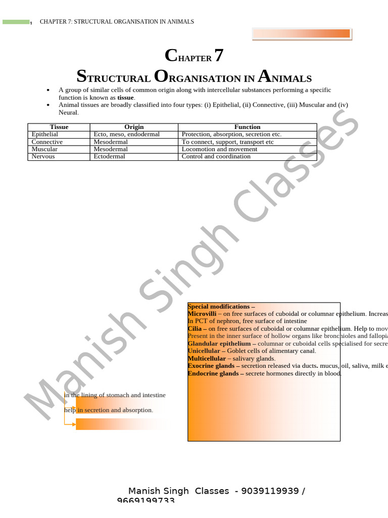 CH 7 Structural Organisation of Animals | PDF | Epithelium | Muscle