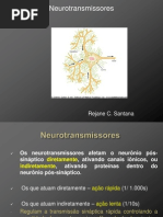 Aula 4 Neurotransmissores_Rejane Santana