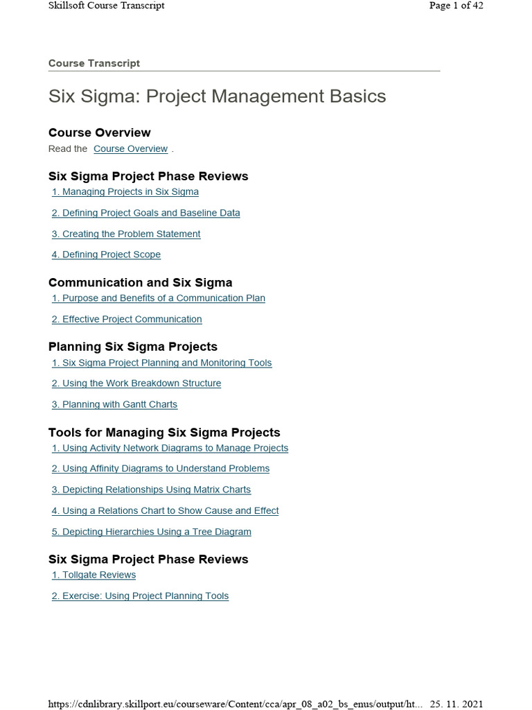 Six Sigma Project Management Basics | PDF | Project Management