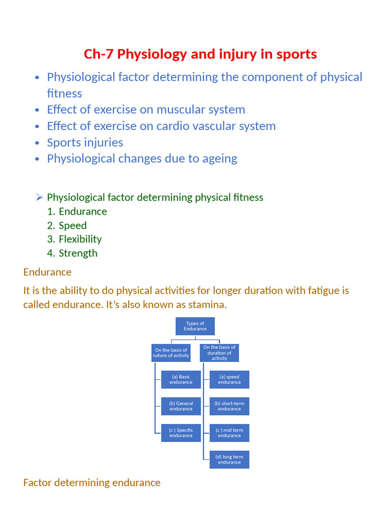 Sports Physiology and Injury Insights | PDF | Skeletal Muscle | Heart