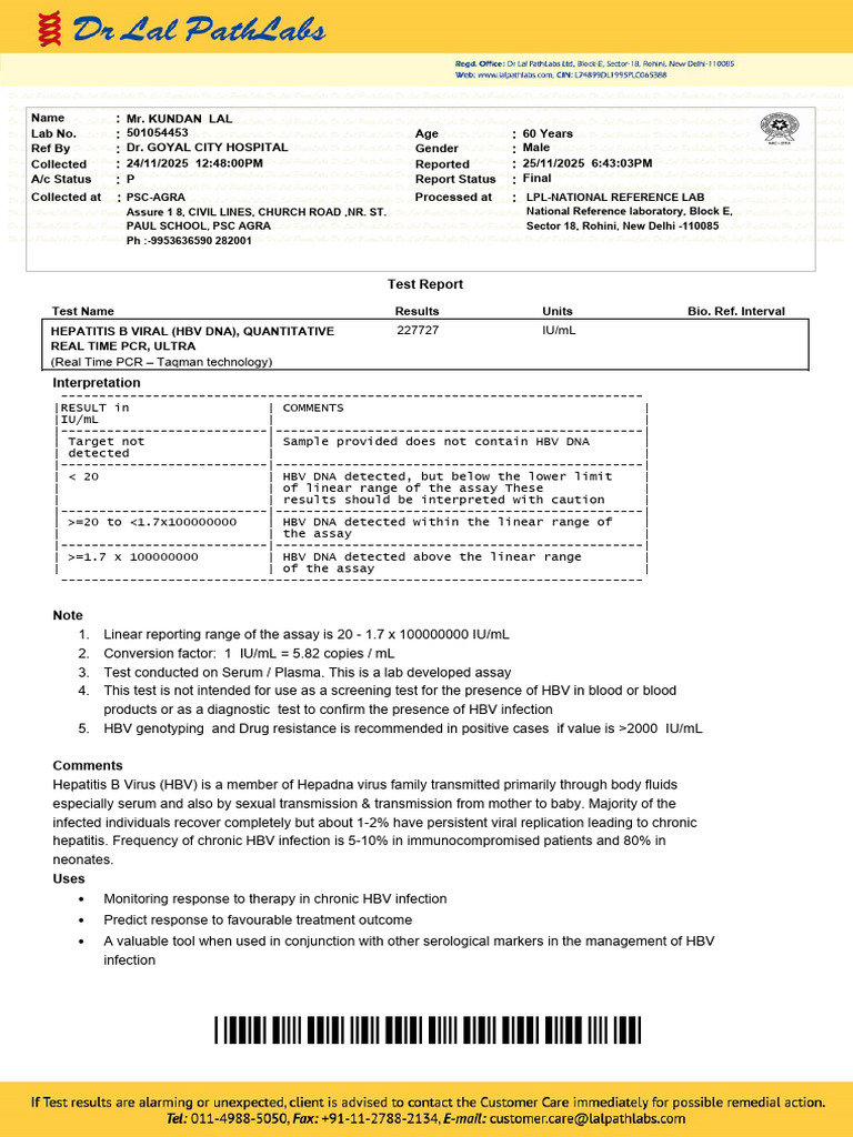 Report F2025-11-25T184317 | PDF | Hepatitis B | Infection