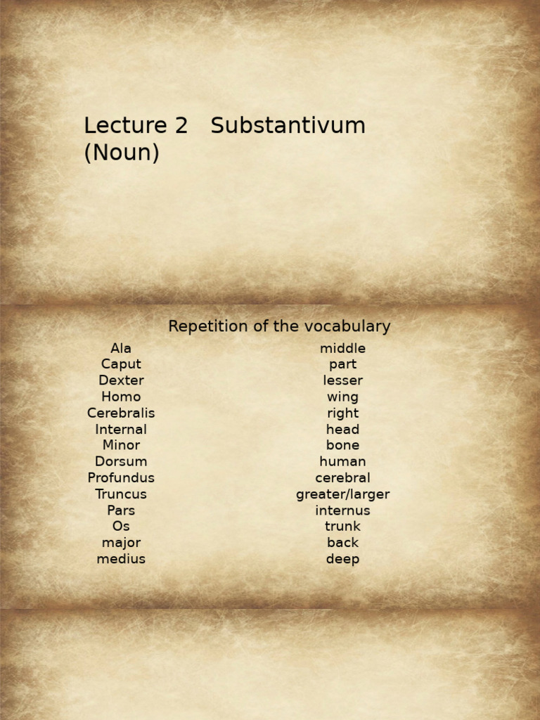 Lecture 2 Substantivum (Noun) | PDF | Grammatical Gender | Semantics