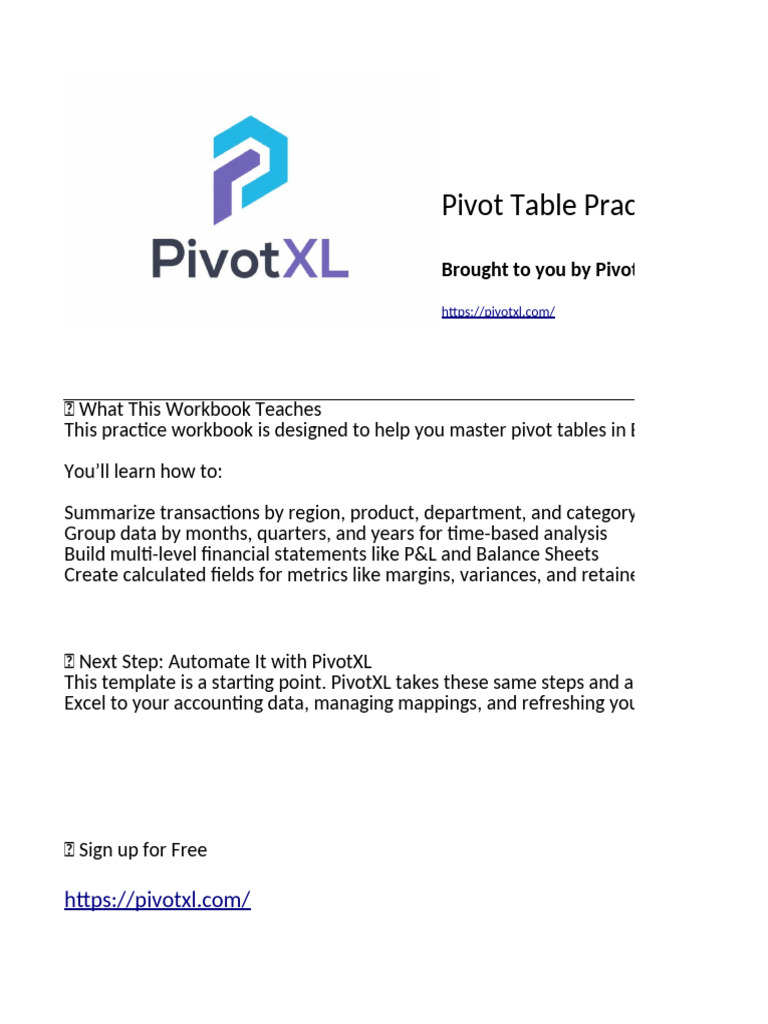 Excel Pivot Table Practice Workbook | PDF | Income Statement | Revenue