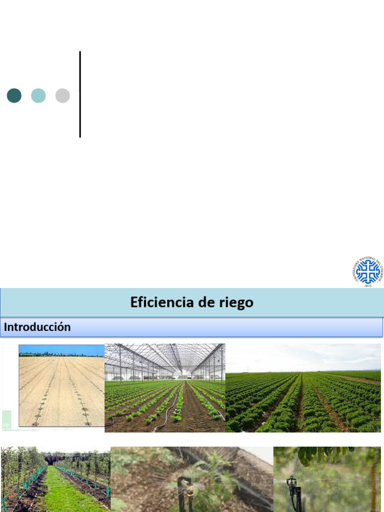 Eficiencia en Sistemas de Riego | PDF | Riego | Agua