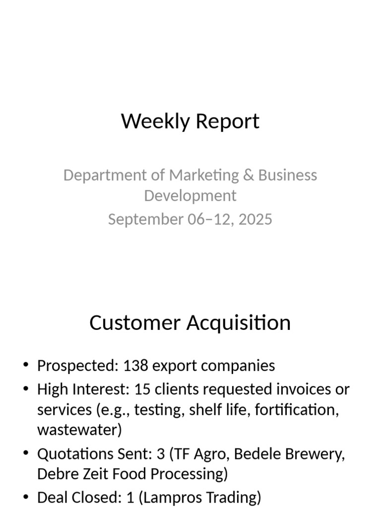 333 Marketing Weekly Report Slides | PDF