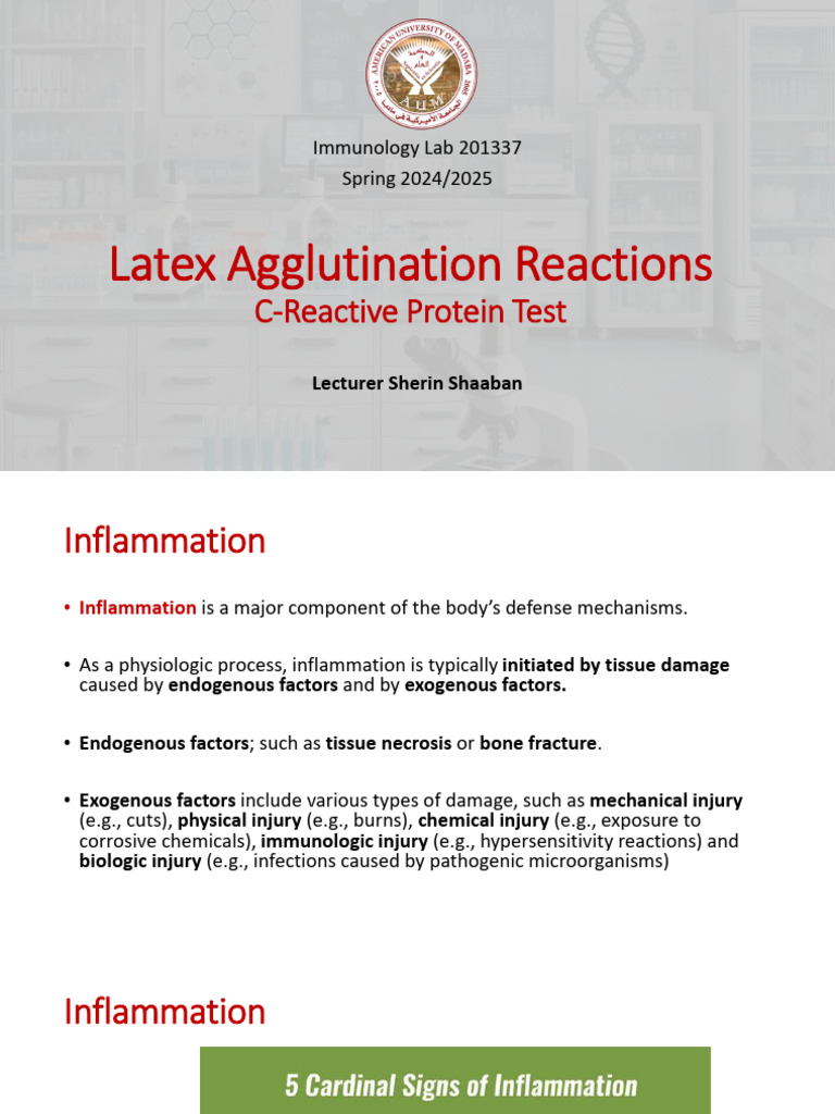 C-Reactive Protein Test Overview | PDF | C Reactive Protein | Inflammation
