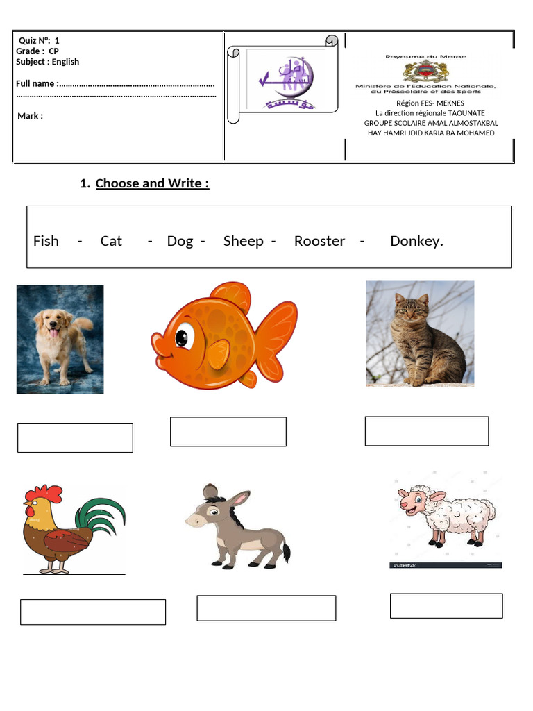 1 ST Grade in Primary | PDF
