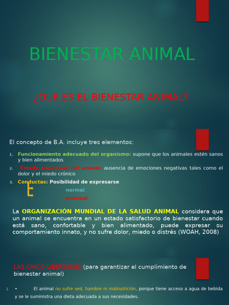 Claves del Bienestar Animal y Tenencia Responsable | PDF ...