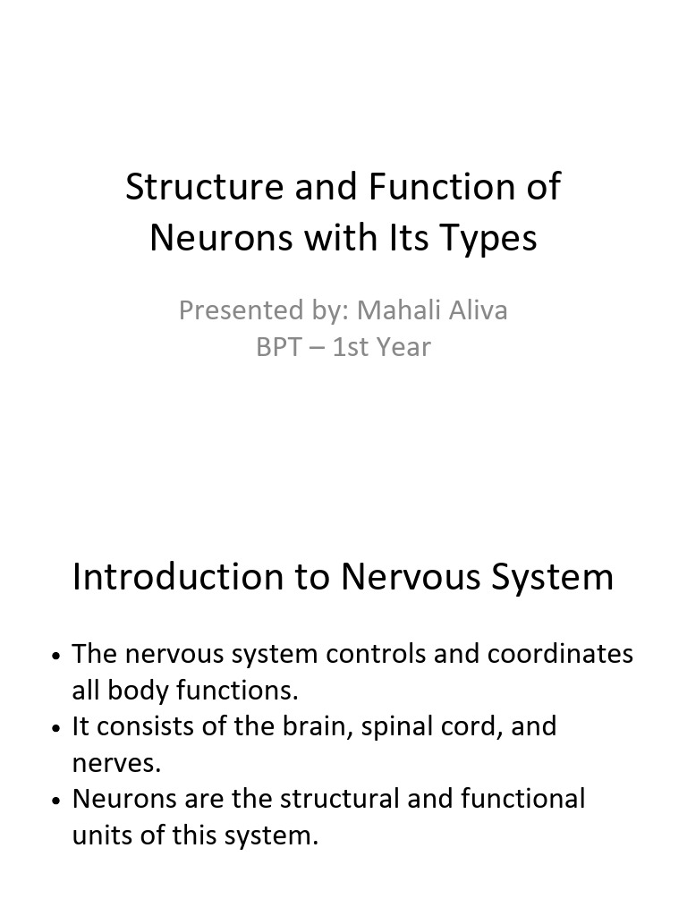 Structure and Function of Neurons Mahali Aliva-1 PDF | PDF | Neuron ...