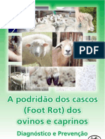 Informativo Foot Vac