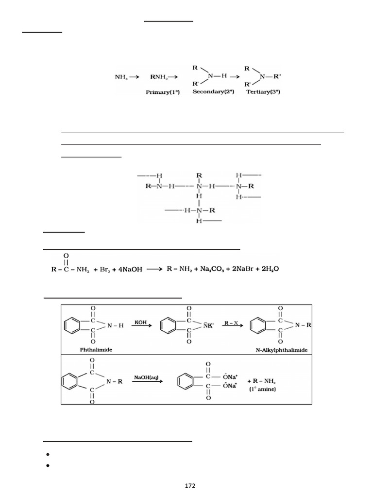 Understanding Amines: Types and Reactions | PDF | Amine | Chemical ...