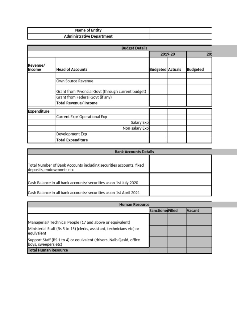 202105251621920024-Financial Information Template for Public Entities | PDF