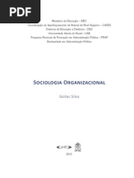 Fasciculo de Sociologia_Organizacional