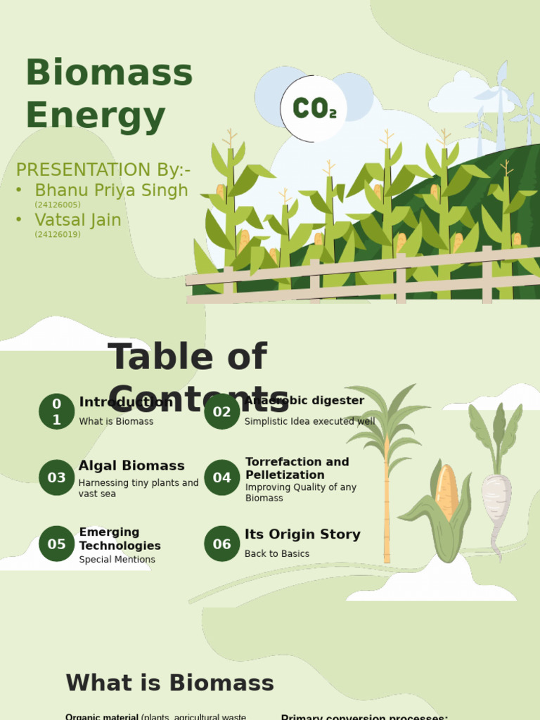 Biomass Energy: Technologies & Applications | PDF | Biofuel | Gasification