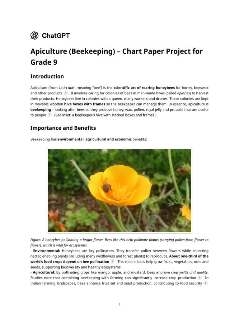 Beekeeping Basics for Grade 9 Students | PDF | Honey Bee | Beehive