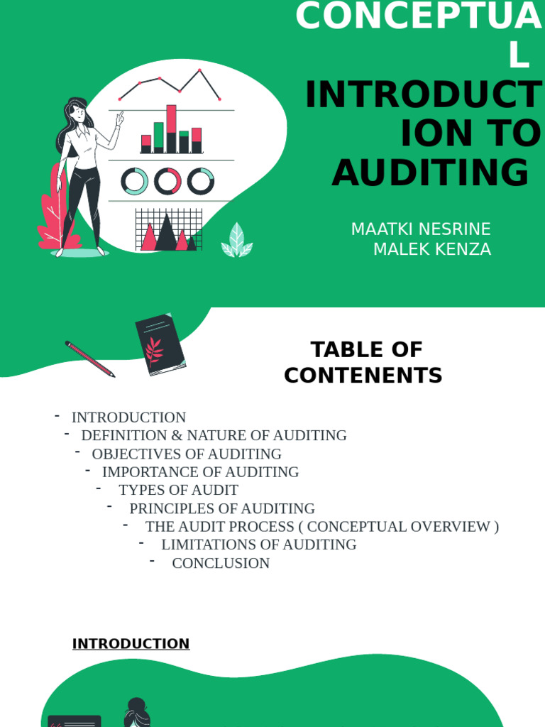 A Conceptual Introduction To Auditing | PDF | Audit | Accounting