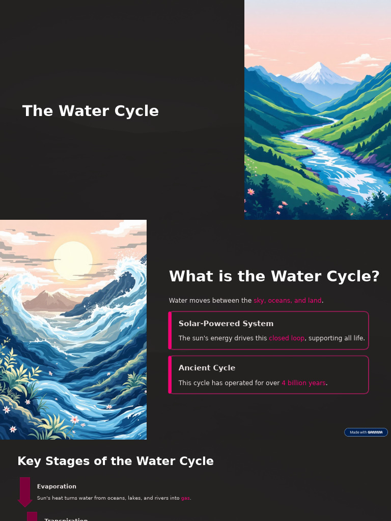The Water Cycle | PDF