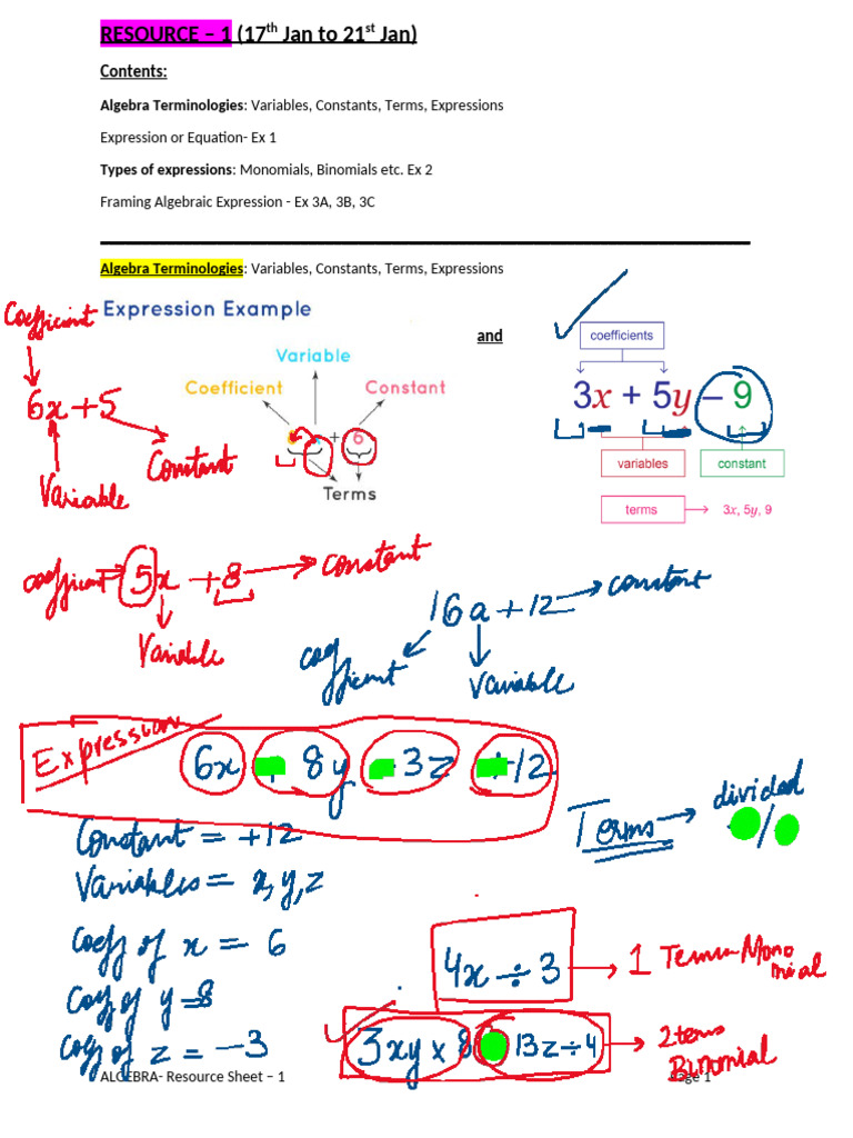 Algebra Terminology and Exercises Guide | PDF