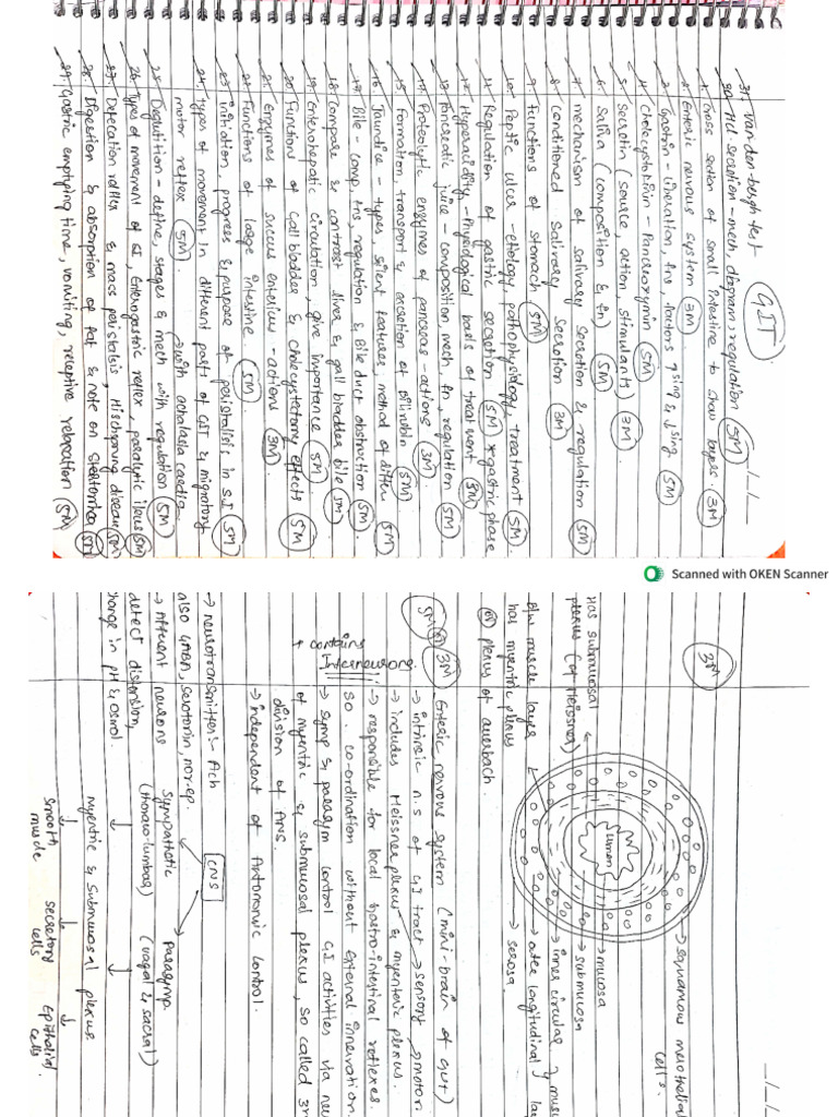 GIT Notes | PDF