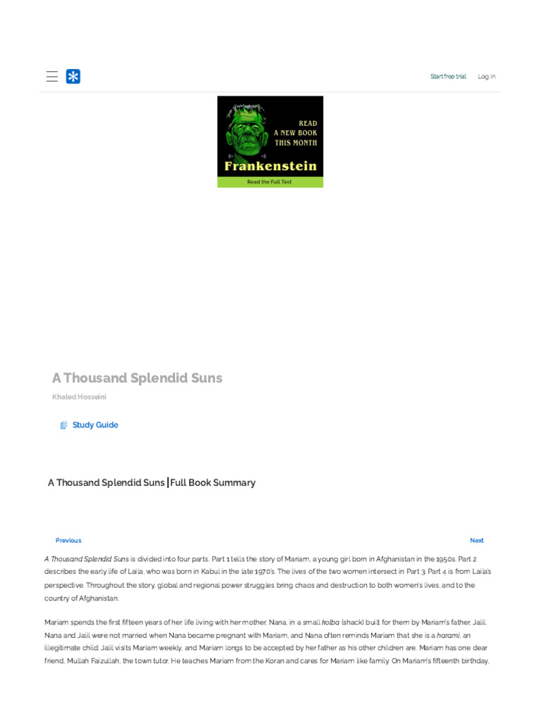 A Thousand Splendid Suns - Full Book Summary - SparkNotes | PDF