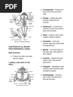 Toad External Anatomy Diagram | PDF | Vertebral Column | Vertebra
