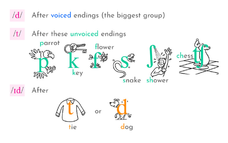 ed_notes_3 | PDF