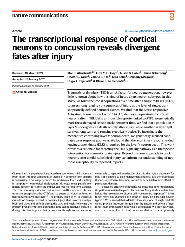 Cortical Neuron Response to mTBI | PDF | Cerebral Cortex | Neuron