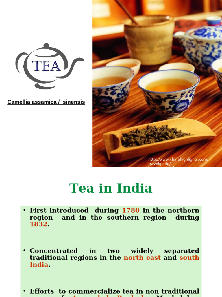 Tea Cultivation Techniques in India | PDF | Pruning | Tea