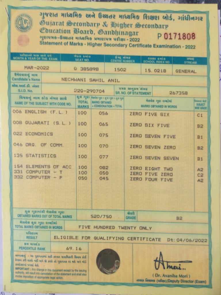 STD 12 Marksheet | PDF