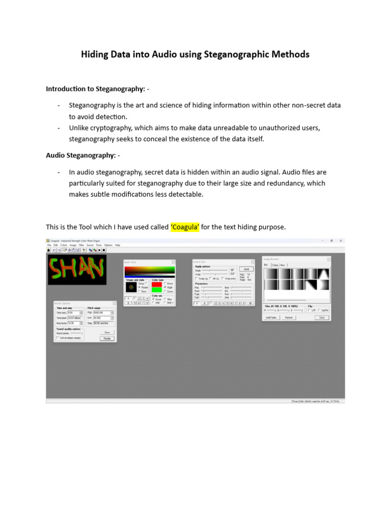 Audio Steganography Techniques Explained | PDF