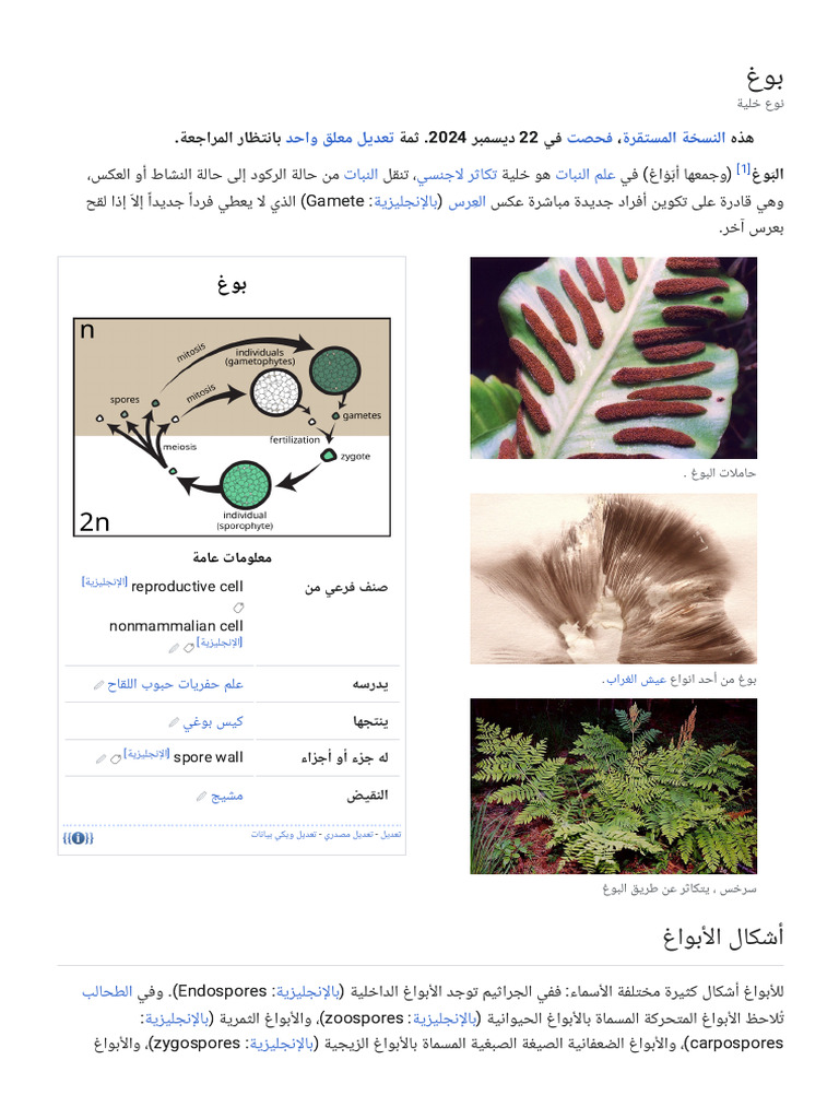 بوغ - ويكيبيديا⁩ | PDF